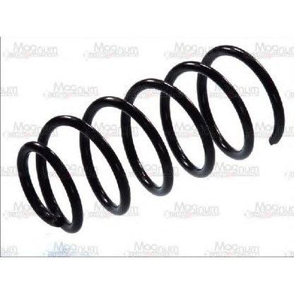 Photo Coil Spring Magnum Technology ST002MT
