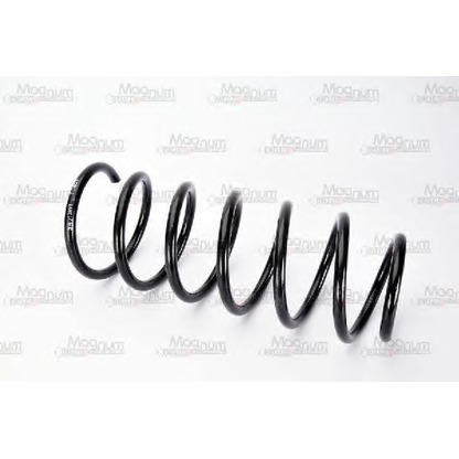 Photo Coil Spring Magnum Technology SW013MT