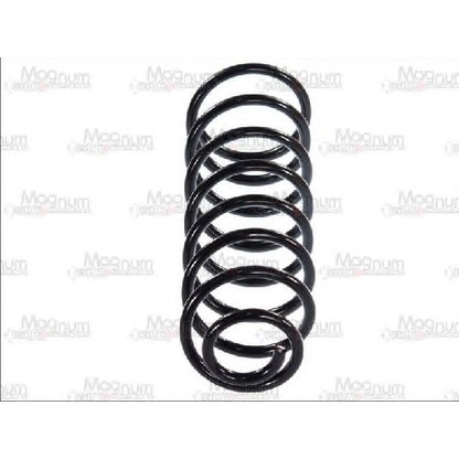 Photo Coil Spring Magnum Technology SW047MT