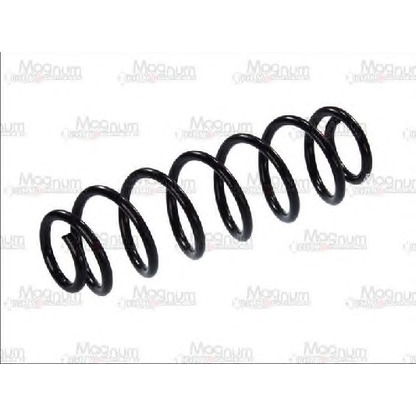 Photo Coil Spring Magnum Technology SW055MT
