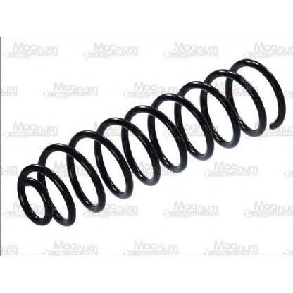 Photo Coil Spring Magnum Technology SW060MT