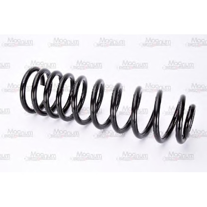 Photo Coil Spring Magnum Technology SW064MT