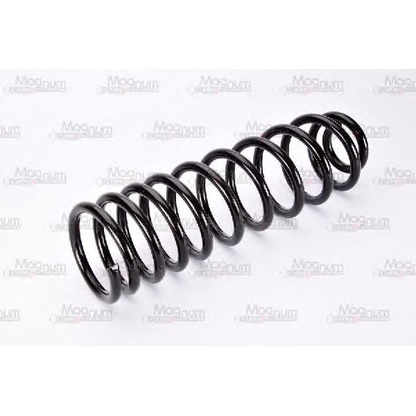 Photo Coil Spring Magnum Technology SW064MT