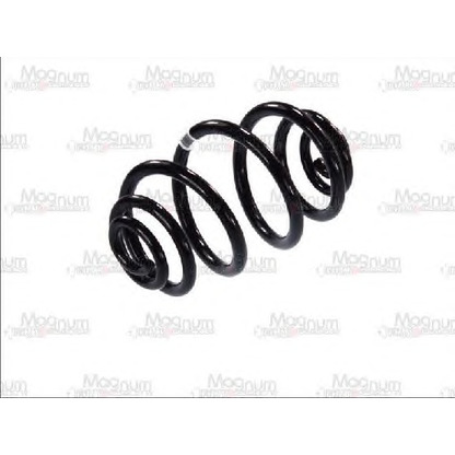 Photo Coil Spring Magnum Technology SW071MT