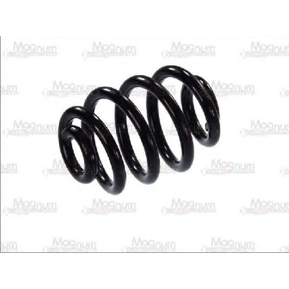 Photo Coil Spring Magnum Technology SW079MT