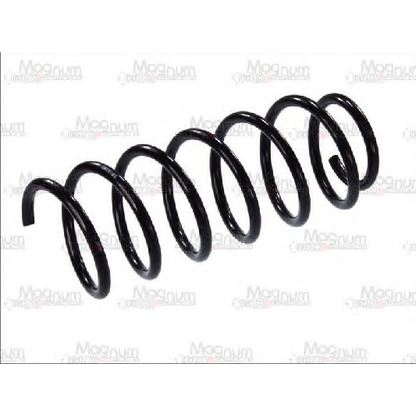 Photo Coil Spring Magnum Technology SW093MT