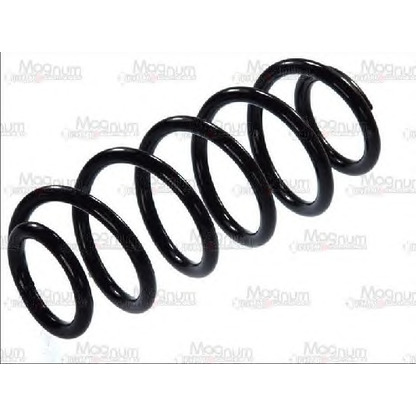 Photo Coil Spring Magnum Technology SW106MT