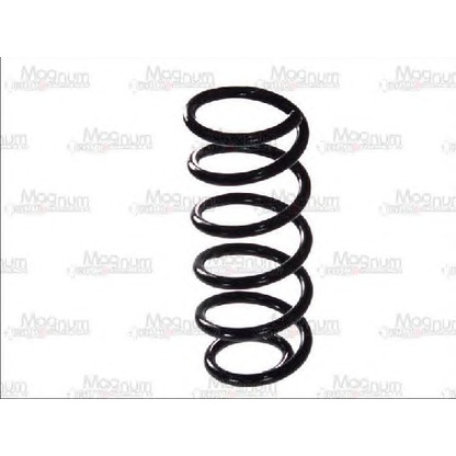 Photo Coil Spring Magnum Technology SW113MT
