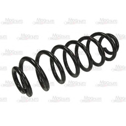 Photo Coil Spring Magnum Technology SW118MT