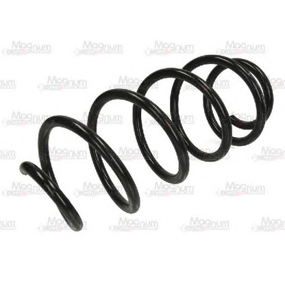 Photo Coil Spring Magnum Technology SW119MT