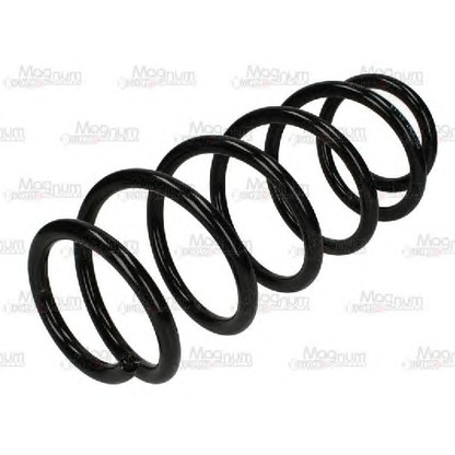 Photo Coil Spring Magnum Technology SW122MT