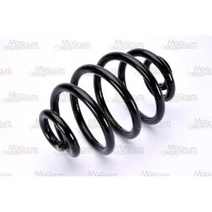 Photo Coil Spring Magnum Technology SX106MT