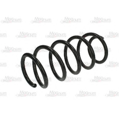 Photo Coil Spring Magnum Technology SX146MT