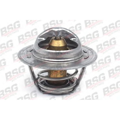 Photo Thermostat d'eau BSG BSG30125011