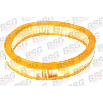 Photo Air Filter BSG BSG30135008