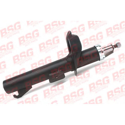 Photo Shock Absorber BSG BSG30300014