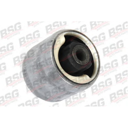 Foto Supporto, Braccio oscillante BSG BSG30700305