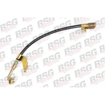 Foto Tubo flexible de frenos BSG BSG30730020