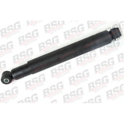 Photo Shock Absorber BSG BSG60300013