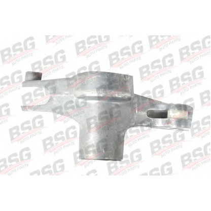 Foto Braccio tenditore, Cinghia Poly-V BSG BSG60615006