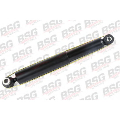 Photo Shock Absorber BSG BSG30300010