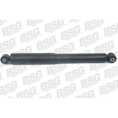 Photo Shock Absorber BSG BSG60300021