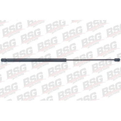 Photo Gas Spring, boot-/cargo area BSG BSG70980009