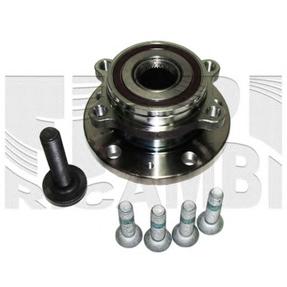 Photo Wheel Bearing Kit CALIBER RC1061