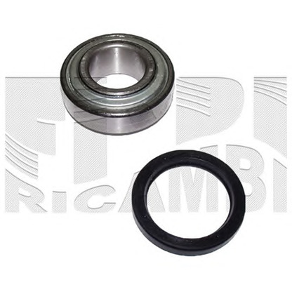 Photo Wheel Bearing Kit CALIBER RC1820