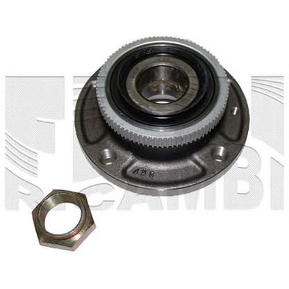 Photo Wheel Bearing Kit CALIBER RC5025