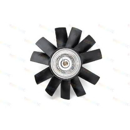 Foto Ventilador, refrigeración del motor THERMOTEC D5W002TT