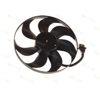 Photo Ventilateur, refroidissement du moteur THERMOTEC D8W019TT