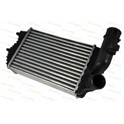 Photo Intercooler, échangeur THERMOTEC DAF001TT