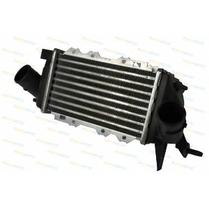 Photo Intercooler, charger THERMOTEC DAX003TT