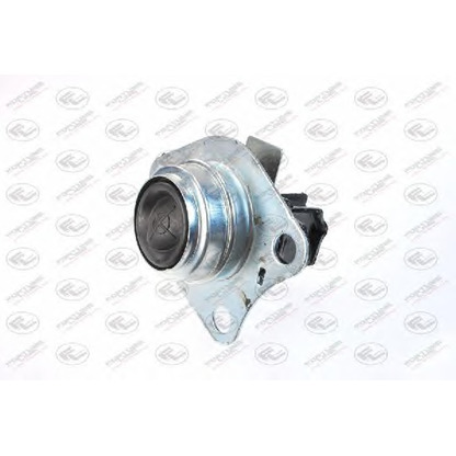 Photo Engine Mounting FORTUNE LINE FZ90004