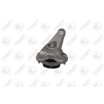 Photo Mounting, manual transmission FORTUNE LINE FZ90544
