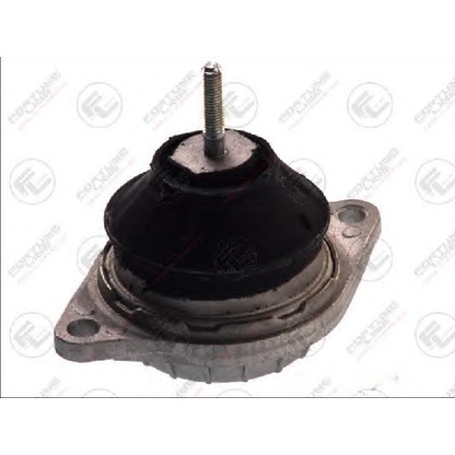 Photo Engine Mounting FORTUNE LINE FZ9870