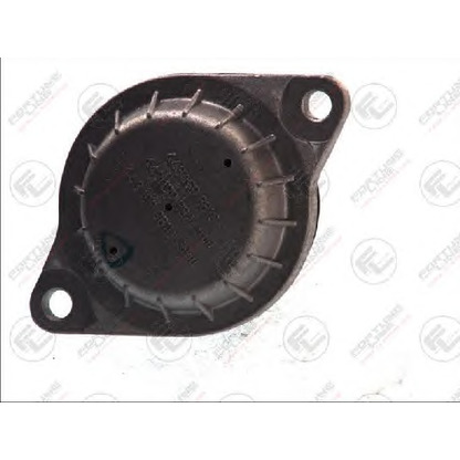 Photo Engine Mounting FORTUNE LINE FZ9870