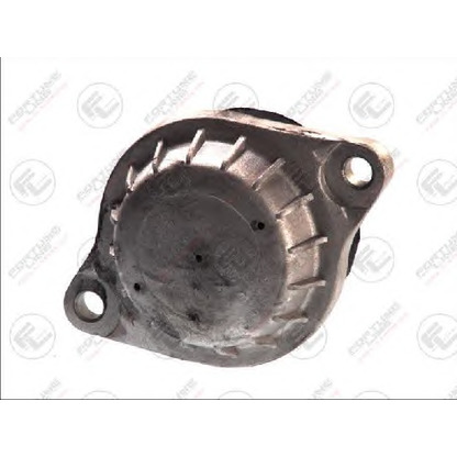 Photo Engine Mounting FORTUNE LINE FZ9872