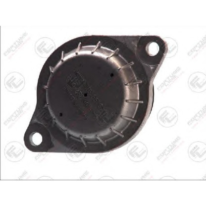 Photo Engine Mounting FORTUNE LINE FZ9873