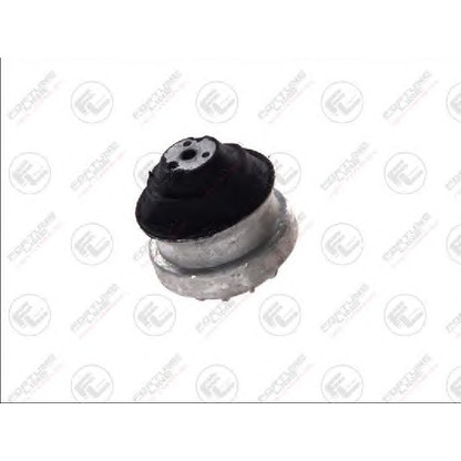 Photo Engine Mounting FORTUNE LINE FZ9900