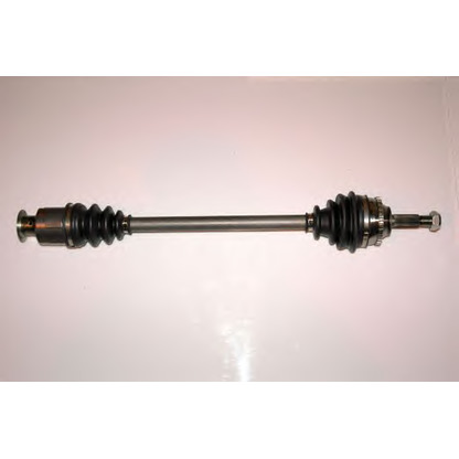 Photo Drive Shaft PROTECHNIC PRA018