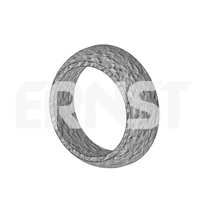 Фото Уплотнительное кольцо, труба выхлопного газа ERNST 491297