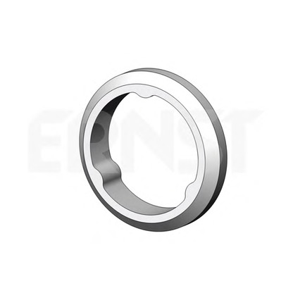 Фото Уплотнительное кольцо, труба выхлопного газа ERNST 498692