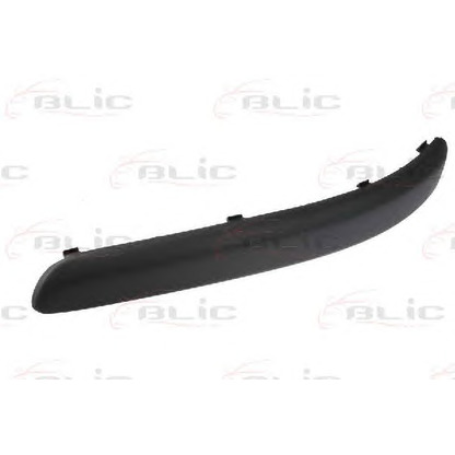 Photo Trim/Protective Strip, bumper BLIC 5510009506921P