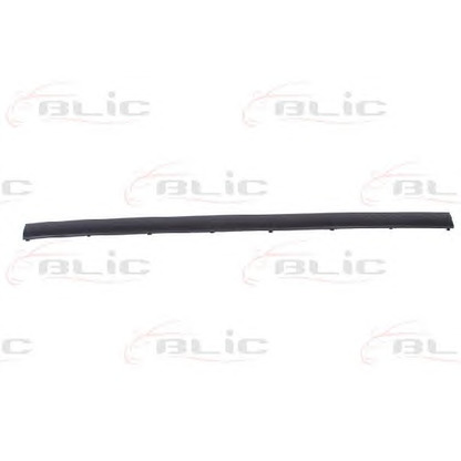 Photo Trim/Protective Strip, bumper BLIC 5513000060970P