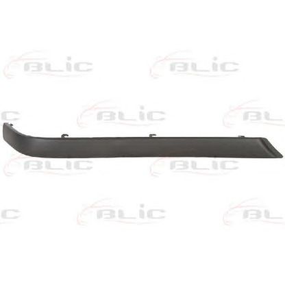 Photo Trim/Protective Strip, bumper BLIC 5513000060973P