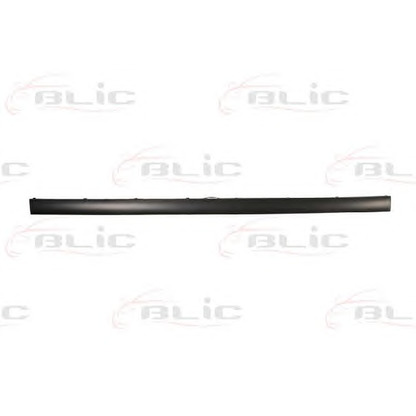 Photo Trim/Protective Strip, bumper BLIC 5513000060975P