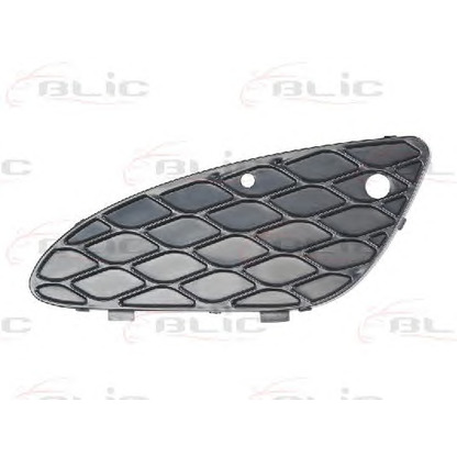 Photo Ventilation Grille, bumper BLIC 5601003528997P