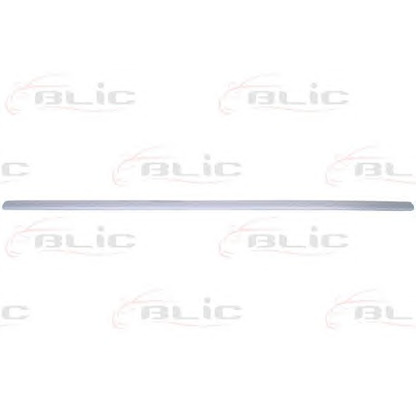 Photo Trim/Protective Strip, door BLIC 5703049523576P